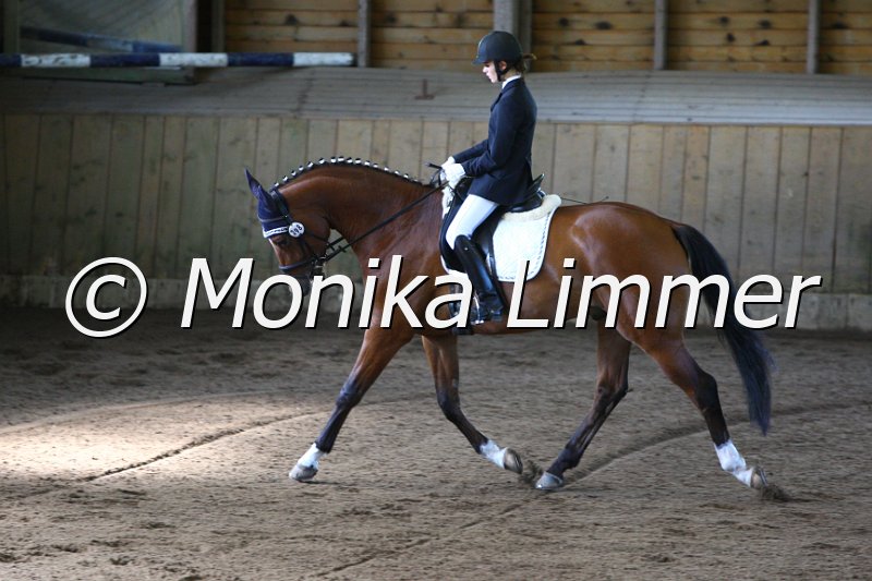 006M6562_Dressurpferde A.JPG